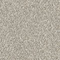 SEASHELL 00151