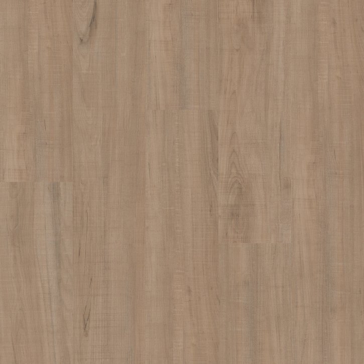 Chatter Oak