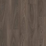 Dark Elm