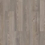 Grey Chestnut