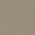 SHIFTING SAND 00105