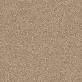 CAMEL 00107
