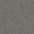 STEEL 00501