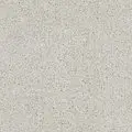 ICE 00520