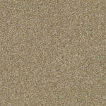 DRIED CLAY 00137