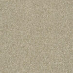 WHEAT FIELD 00142